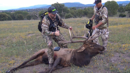 New Mexico elk hunt with Intense Trophy Hunting