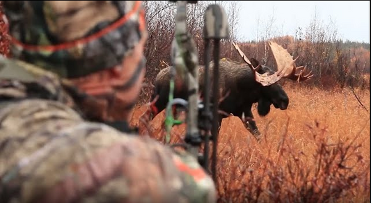Alaska Yukon moose hunt with Mike Carney of Bowhunter TV