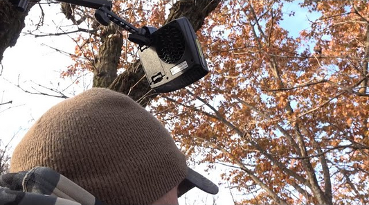 Bear hunting with Ozonics