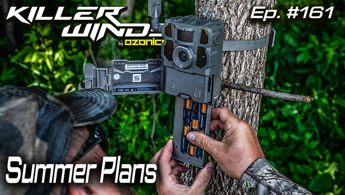 Ep. 161: Summer Plans