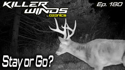 Ep. 180: Stay or Go? October is heating up!