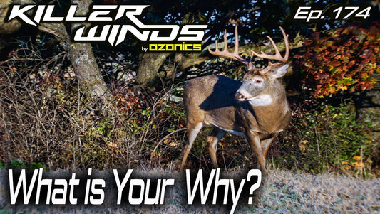 Ep. 175: What is Your Why?
