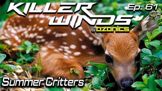 Ep. #61: Summer Critters