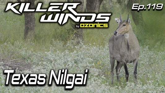 Ep. 119: Texas Nilgai