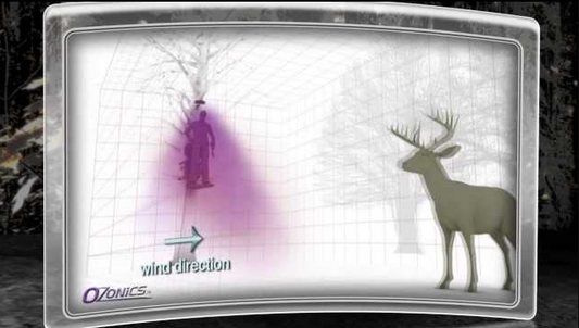 Ozonics - Best Year Ever