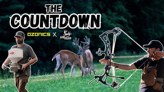 The Countdown