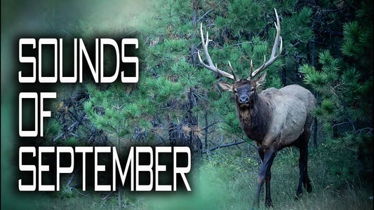 Sounds of September