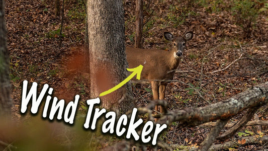 This is why you should run Ozonics!