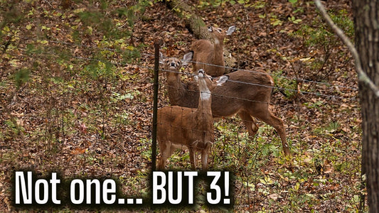 3x Does directly downwind!