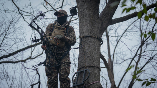 Breaking Point TV HR600 Review