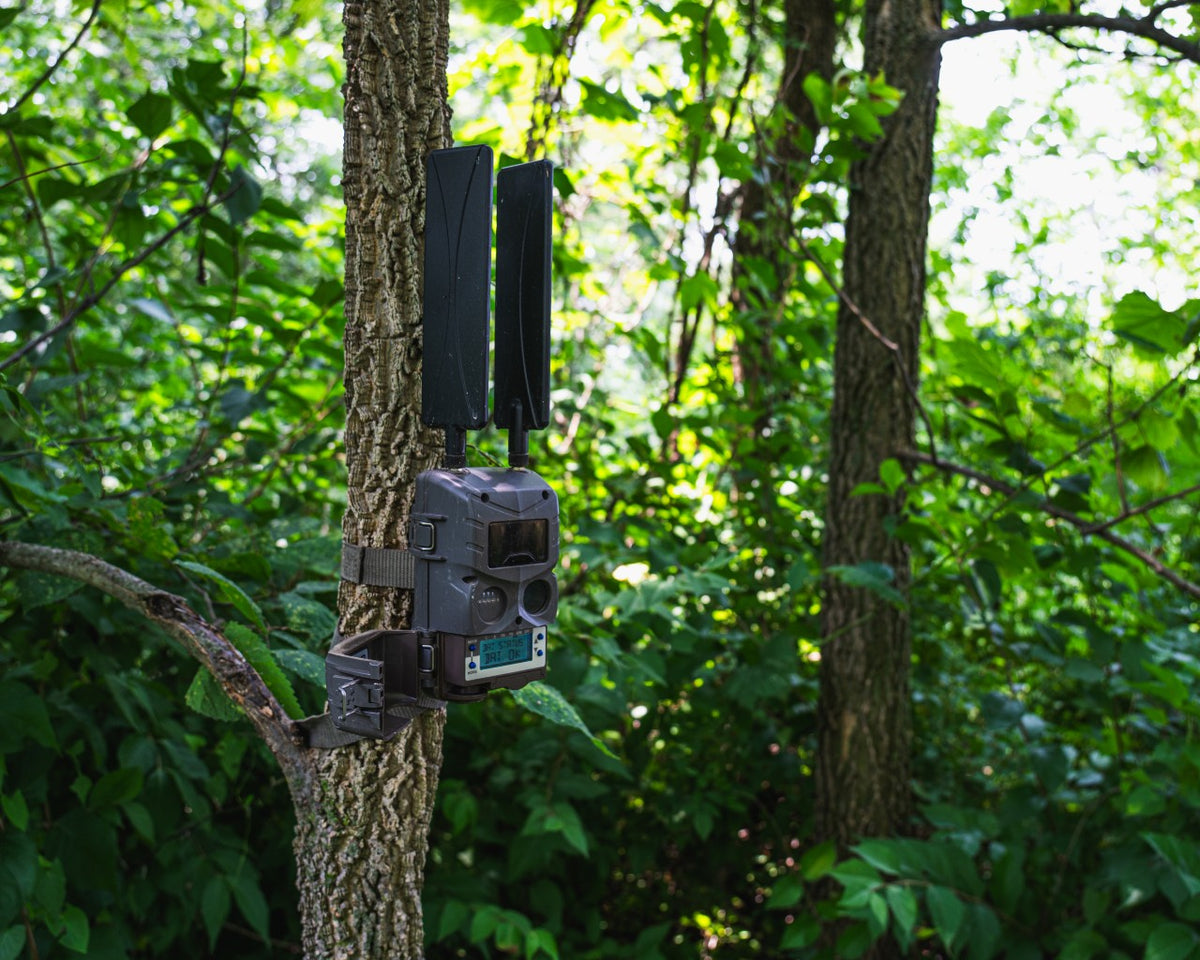 Camera That Tracks Cuddeback Tracks Camera | High-Performance Hunting Camera