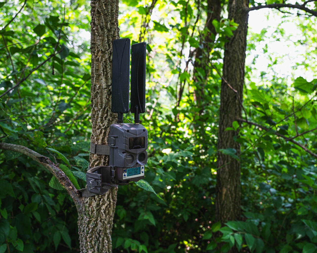Cuddeback Tracks Camera