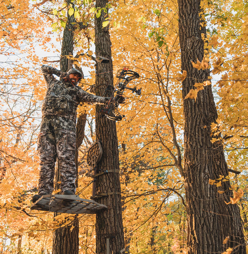 A Man In Hunting Position On A Tree With Bow And Arrow In His Hand.