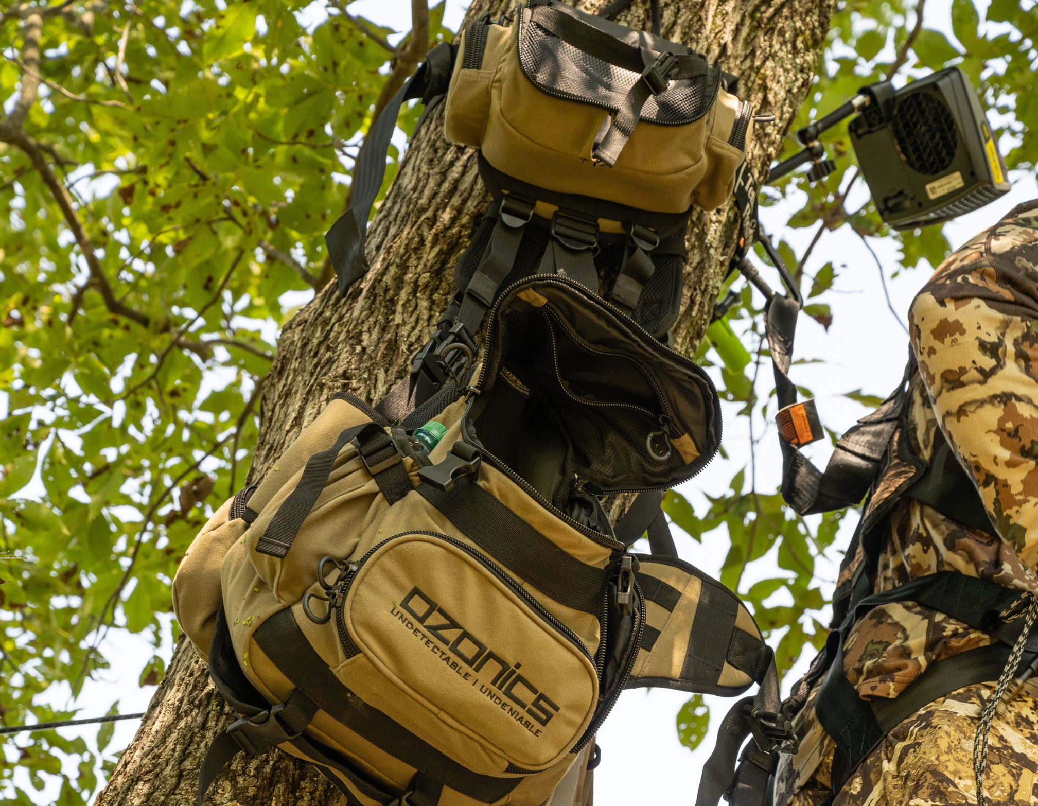 A Kinetic Bag Hanging On A Tree.