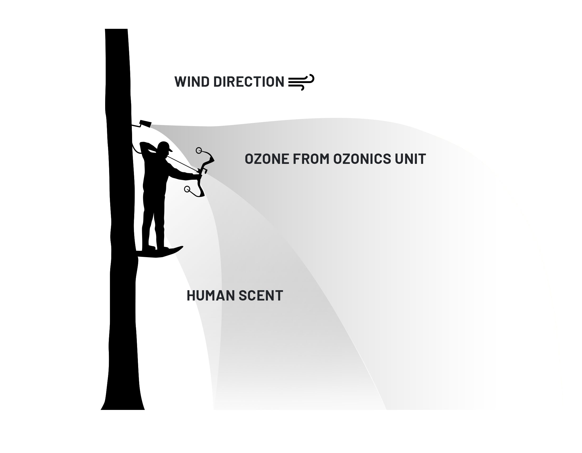A Man Is Standing On A Tree With The Words Wind Direction.
